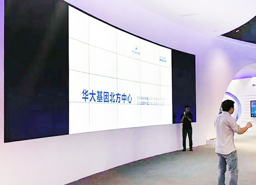 （青島）華大基因-1.7拼接